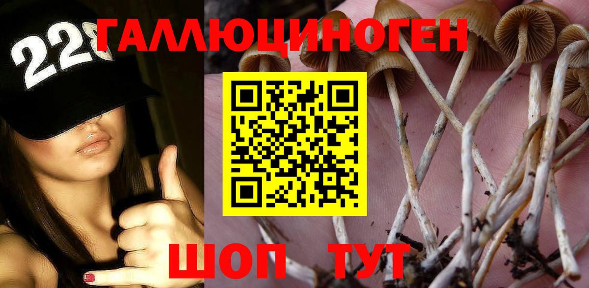 Осинники  Псилоцибиновые грибы Psilocybine cubensis  Вход с VPN 