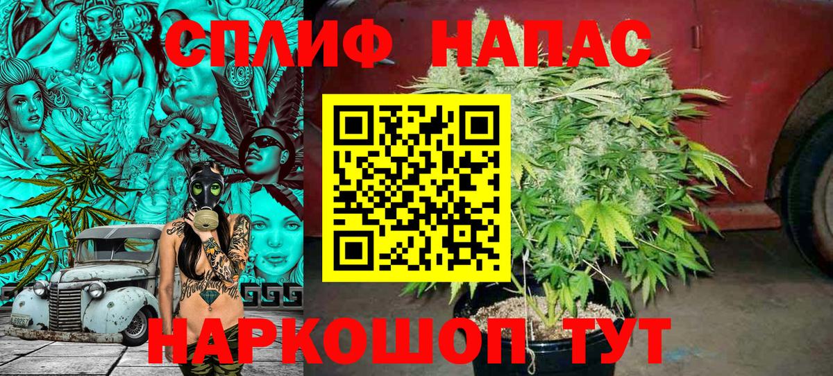 Каннабис MAZAR  Шишки марихуана сатива  Осинники  Шишки марихуана сатива  Марихуана THC 21%  Вход с VPN 